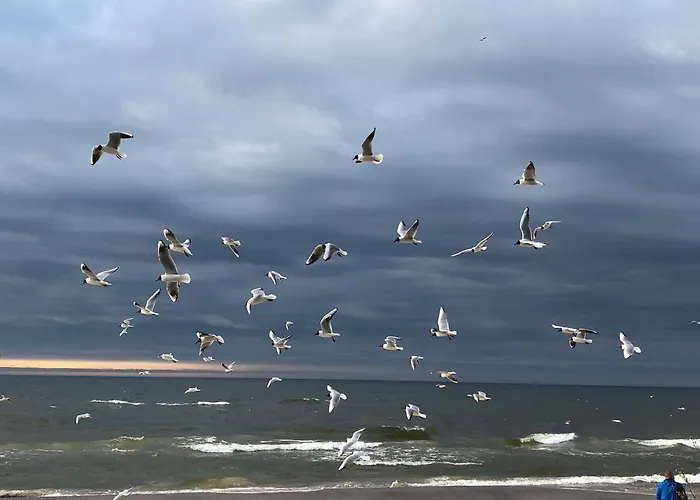 Apartman Baltic Park Pogorzelica